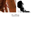 tutte